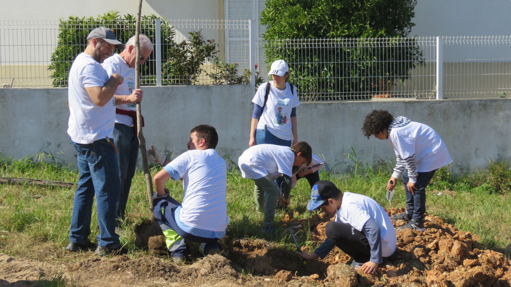 «Jardineiros por um dia» plantam árvores na Freguesia