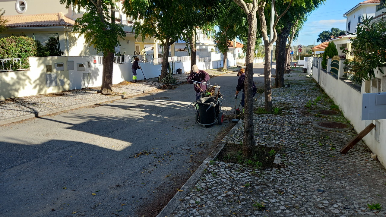 Limpeza e corte de ervas no Vale Ana Gomes